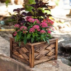 Budget ⭐ Best Gardening Supplies Planter Sets Square Wood Planter - Set Of 3 🥰 -Garden Planters & Plant Pots Sales Shop detail2DVE006