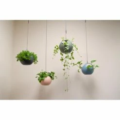 Deals โ๏ธ Exaco Euro Pot Hanging Planter - Set Of 2 ๐ 8 Deals โ๏ธ Exaco Euro Pot Hanging Planter - Set Of 2 ๐ -Garden Planters & Plant Pots Sales Shop detail2EX226