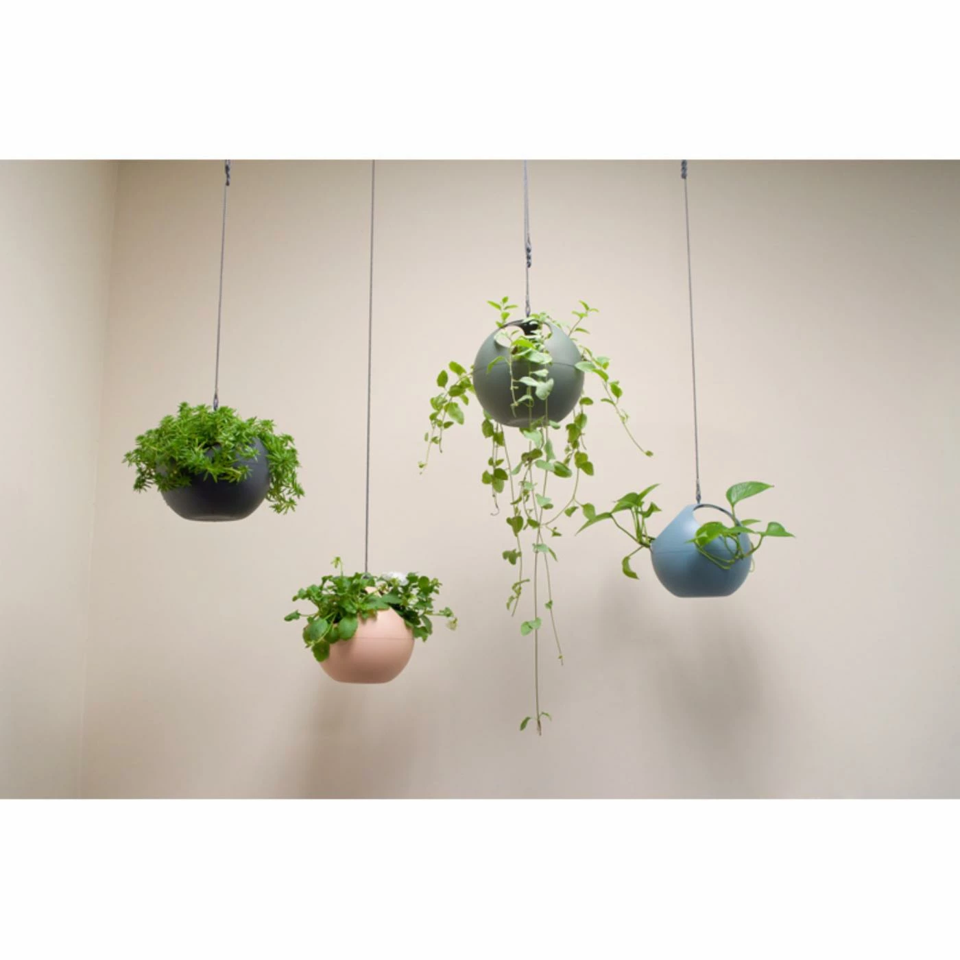 Deals โ๏ธ Exaco Euro Pot Hanging Planter - Set Of 2 ๐ 4 Deals โ๏ธ Exaco Euro Pot Hanging Planter - Set Of 2 ๐ - Image 4