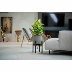 Brand new ⌛ Planter Pots Vita Vaxa Mid-Century Indoor Planter With Stand 🔥 -Garden Planters & Plant Pots Sales Shop detail2NEA182