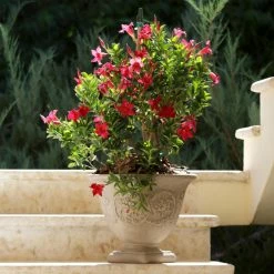 Flash Sale 🔔 Planter Pots Sunnydaze Decor Darcy Heavy Duty Double-Walled Fade Resistant Flower Pot Planter 🤩 -Garden Planters & Plant Pots Sales Shop detail2NETH1182