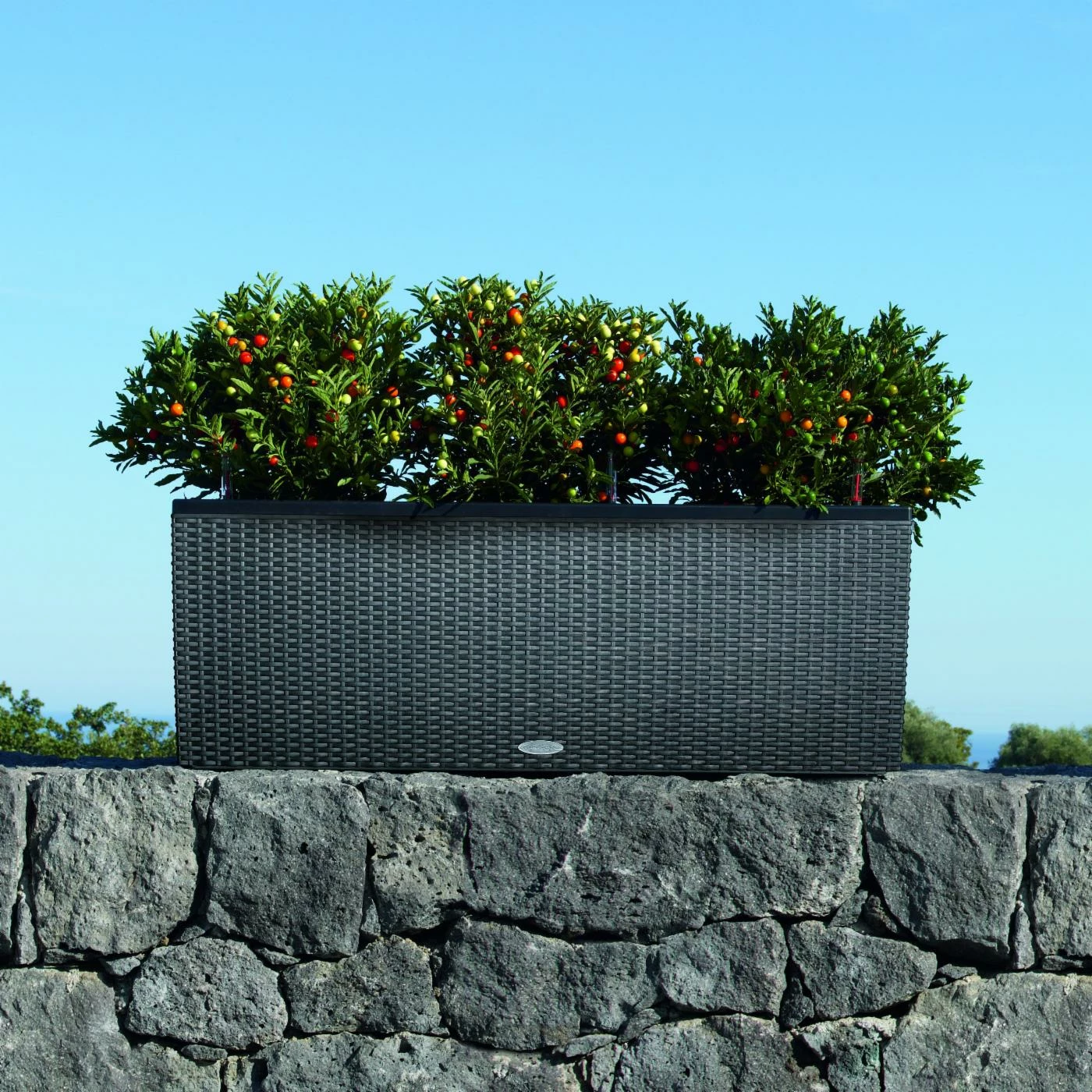 Wholesale π Trough Rectangle Lechuza Trio Cottage 30 Self-Watering Resin Planter β€οΈ 4 Wholesale π Trough Rectangle Lechuza Trio Cottage 30 Self-Watering Resin Planter β€οΈ - Image 4