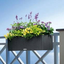 Brand new ❤️ Deck & Railing Rectangle Lechuza Balconera Cottage Self-Watering Resin Planter 🎉 -Garden Planters & Plant Pots Sales Shop detail2PML010