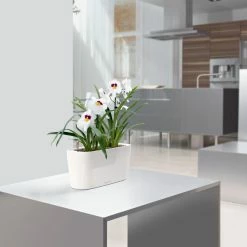 Buy 😉 Planter Pots Lechuza Windowsill Self-Watering Indoor Planter ✔️ -Garden Planters & Plant Pots Sales Shop detail2PML026