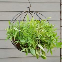 Top 10 ๐ฏ Hanging Passage Handmade Globe And Planter โค๏ธ 12 Top 10 ๐ฏ Hanging Passage Handmade Globe And Planter โค๏ธ -Garden Planters & Plant Pots Sales Shop detail2RIHI073