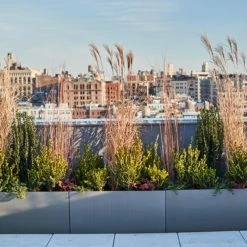 New π Trough Root And Stock Belmont Rectangle Fiberglass Planter Box π 7 New π Trough Root And Stock Belmont Rectangle Fiberglass Planter Box π -Garden Planters & Plant Pots Sales Shop detail2ROOA001