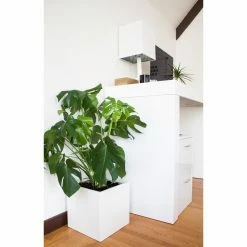 Best Pirce π Planter Pots Root And Stock Dixon Square Cube Fiberglass Planter Box π 10 Best Pirce π Planter Pots Root And Stock Dixon Square Cube Fiberglass Planter Box π -Garden Planters & Plant Pots Sales Shop detail2ROOA003