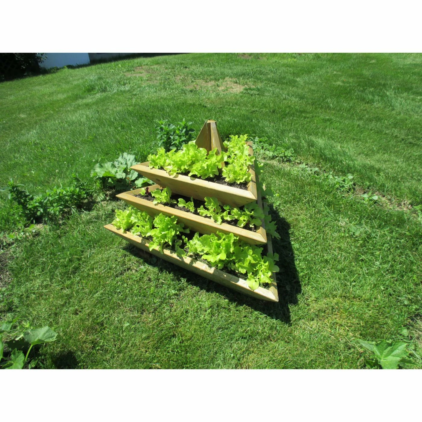 Flash Sale π₯° Smart Carts Novelty Plant Pyramid Level 3 π€© 4 Flash Sale π₯° Smart Carts Novelty Plant Pyramid Level 3 π€© - Image 4