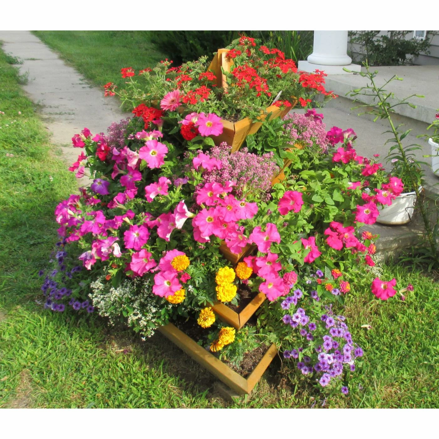 Cheapest π Smart Carts Novelty Plant Pyramid Level 5 β 4 Cheapest π Smart Carts Novelty Plant Pyramid Level 5 β - Image 4