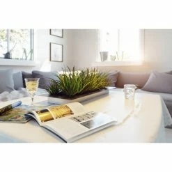 Best reviews of 🧨 Novelty Veradek GEO Flat Indoor Planter 💯 -Garden Planters & Plant Pots Sales Shop detail2VERA038