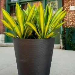 Budget ⌛ Commercial Veradek Pro Series Curve 30 In. Grooved Outdoor Round Planter ✨ -Garden Planters & Plant Pots Sales Shop detail2VERA046
