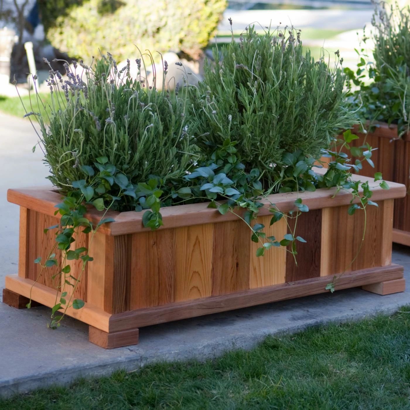 Hot Sale ๐ฏ Commercial Wood Country Rectangle Cedar Wood Boise Patio Planter Box โจ 4 Hot Sale ๐ฏ Commercial Wood Country Rectangle Cedar Wood Boise Patio Planter Box โจ - Image 4