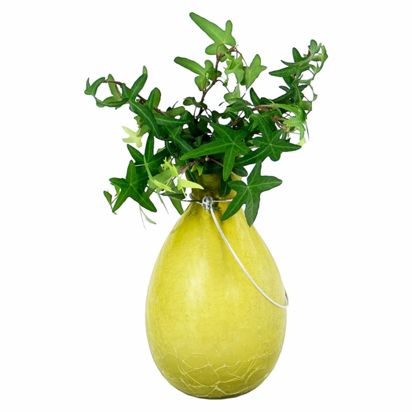 Best Pirce ❤️ Novelty Achla Designs Tear Rooting Vase Planter ❤️ 6 Best Pirce ❤️ Novelty Achla Designs Tear Rooting Vase Planter ❤️ - Image 6