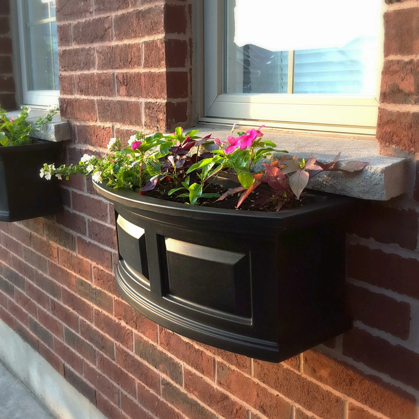 Cheapest ๐ Window Boxes Mayne 24-Inch Rectangle Polyethylene Nantucket Window Box ๐ 5 Cheapest ๐ Window Boxes Mayne 24-Inch Rectangle Polyethylene Nantucket Window Box ๐ - Image 5