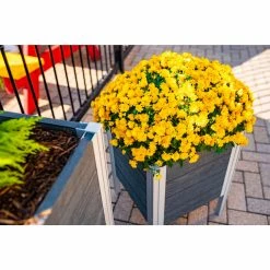 Hot Sale 𧨠Planter Boxes Vita Urbana Vinyl Raised Outdoor Planter π― 12 Hot Sale 𧨠Planter Boxes Vita Urbana Vinyl Raised Outdoor Planter π― -Garden Planters & Plant Pots Sales Shop detail3NEA183