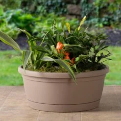Flash Sale ๐ Planter Pots Alfresco Home Libis Bowl Planter ๐ 15 Flash Sale ๐ Planter Pots Alfresco Home Libis Bowl Planter ๐ -Garden Planters & Plant Pots Sales Shop detail4ALH2141