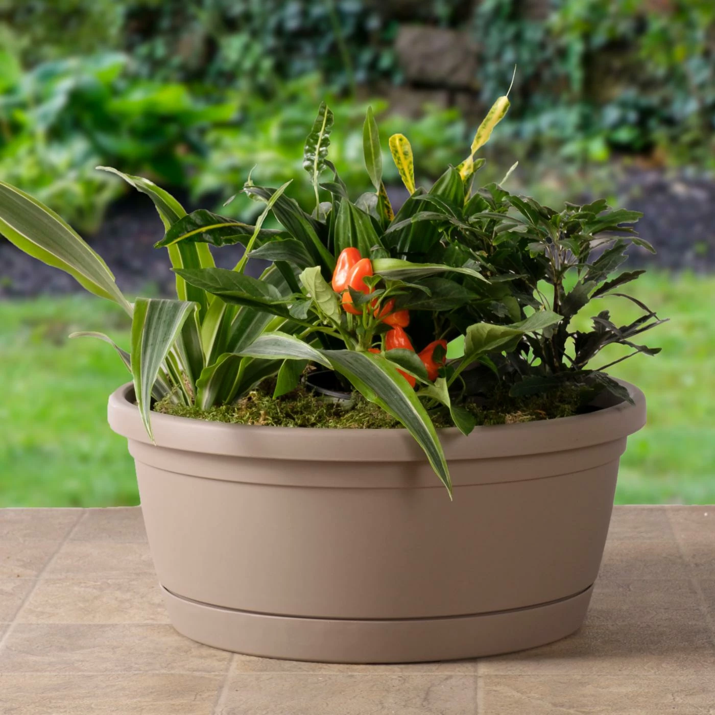 Flash Sale ๐ Planter Pots Alfresco Home Libis Bowl Planter ๐ 7 Flash Sale ๐ Planter Pots Alfresco Home Libis Bowl Planter ๐ - Image 7