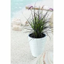 Budget π₯ Novelty Kasamodern Modern Round Planter Pot With Horizontal Waves 𧨠13 Budget π₯ Novelty Kasamodern Modern Round Planter Pot With Horizontal Waves 𧨠-Garden Planters & Plant Pots Sales Shop detail4LAKA054