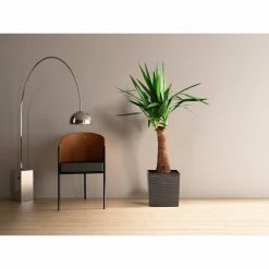 Outlet 𧨠Planter Pots Kasamodern Urban Planter Cubic Ribbed Modern Planter With Insert π 15 Outlet 𧨠Planter Pots Kasamodern Urban Planter Cubic Ribbed Modern Planter With Insert π -Garden Planters & Plant Pots Sales Shop detail4LAKA078