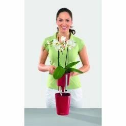 Best reviews of 💯 Planter Pots Round Lechuza Deltini Self-Watering Indoor Planter 🤩 -Garden Planters & Plant Pots Sales Shop detail4PML025