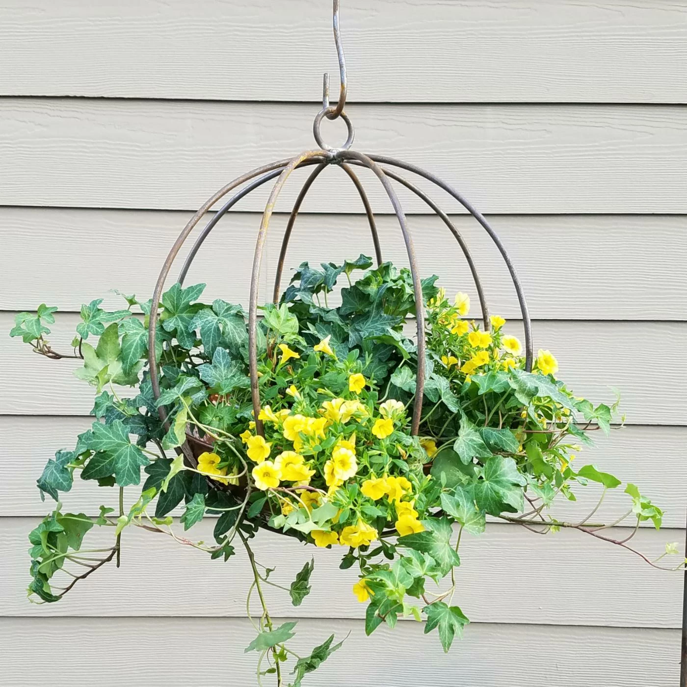 Top 10 ๐ฏ Hanging Passage Handmade Globe And Planter โค๏ธ 7 Top 10 ๐ฏ Hanging Passage Handmade Globe And Planter โค๏ธ - Image 7