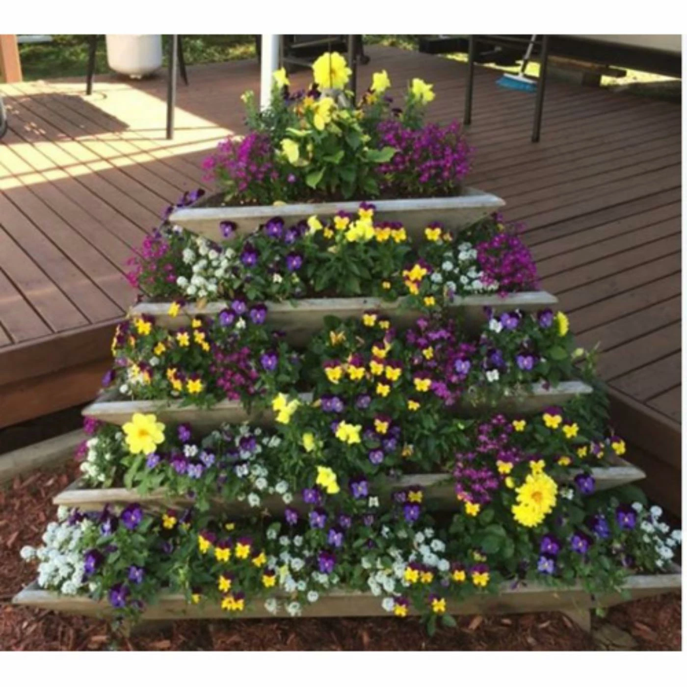 Cheapest π Smart Carts Novelty Plant Pyramid Level 5 β 7 Cheapest π Smart Carts Novelty Plant Pyramid Level 5 β - Image 7