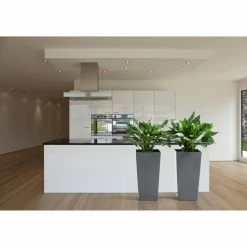 Cheap β Planter Pots Kasamodern Urban Planter Tall Square Glossy Planter With Insert π₯° 17 Cheap β Planter Pots Kasamodern Urban Planter Tall Square Glossy Planter With Insert π₯° -Garden Planters & Plant Pots Sales Shop detail5LAKA075