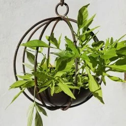 Top 10 ๐ฏ Hanging Passage Handmade Globe And Planter โค๏ธ 16 Top 10 ๐ฏ Hanging Passage Handmade Globe And Planter โค๏ธ -Garden Planters & Plant Pots Sales Shop detail5RIHI073