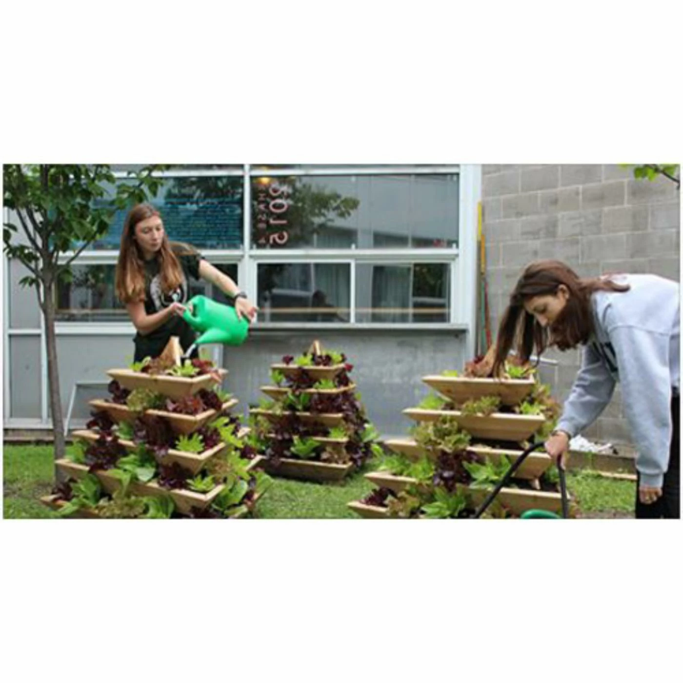 Cheapest π Smart Carts Novelty Plant Pyramid Level 5 β 8 Cheapest π Smart Carts Novelty Plant Pyramid Level 5 β - Image 8
