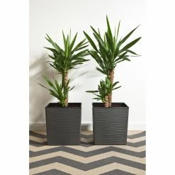 Outlet 𧨠Planter Pots Kasamodern Urban Planter Cubic Ribbed Modern Planter With Insert π 17 Outlet 𧨠Planter Pots Kasamodern Urban Planter Cubic Ribbed Modern Planter With Insert π -Garden Planters & Plant Pots Sales Shop detail6LAKA078
