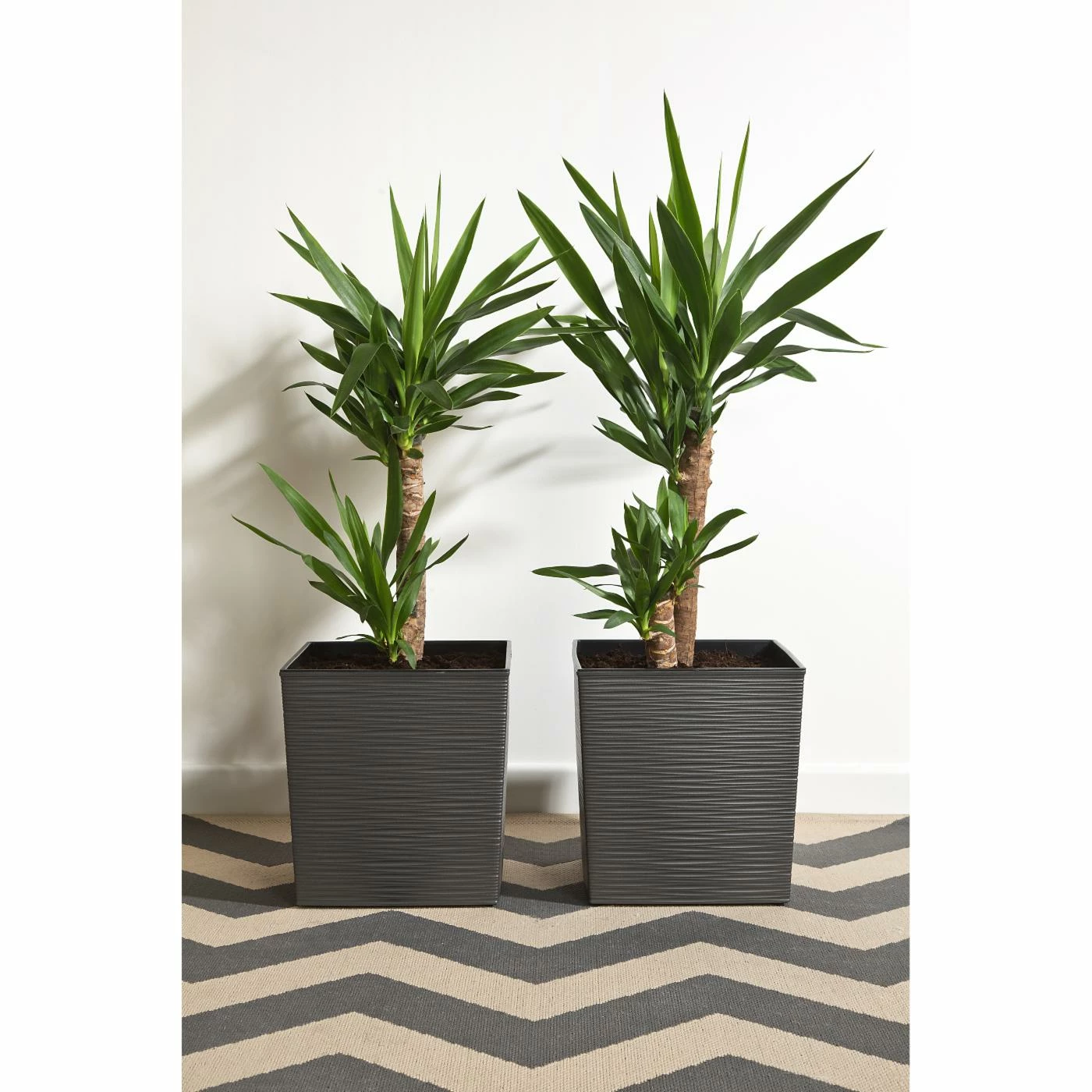 Outlet 𧨠Planter Pots Kasamodern Urban Planter Cubic Ribbed Modern Planter With Insert π 9 Outlet 𧨠Planter Pots Kasamodern Urban Planter Cubic Ribbed Modern Planter With Insert π - Image 9