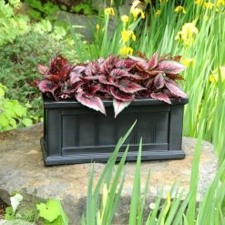 Best Pirce 👍 Trough Mayne Rectangle Polyethylene Cape Cod 24 X 11 Patio Planter 😍 -Garden Planters & Plant Pots Sales Shop detail6MMI028