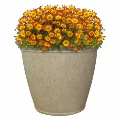 Cheap 🛒 Planter Pots Sunnydaze Decor Anjelica Unbreakable Double-Walled UV Resistant Flower Pot Planter 🧨 -Garden Planters & Plant Pots Sales Shop detail6NETH1178