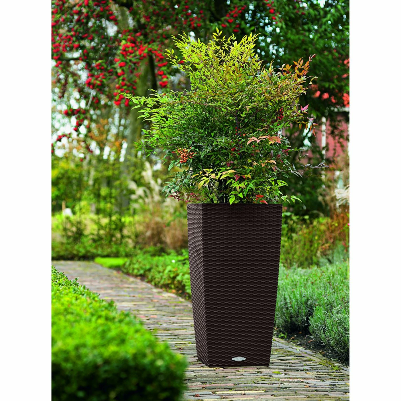 Best Pirce π₯ Planter Pots Square Lechuza Cubico Cottage Self-Watering Resin Planter 𧨠9 Best Pirce π₯ Planter Pots Square Lechuza Cubico Cottage Self-Watering Resin Planter 𧨠- Image 9