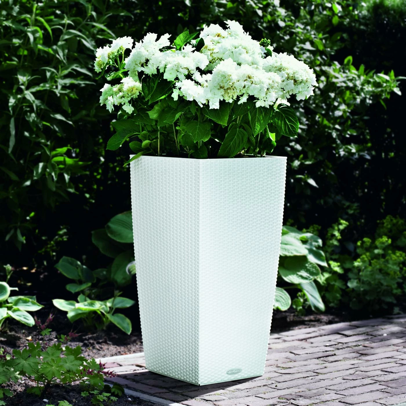 Best Pirce π₯ Planter Pots Square Lechuza Cubico Cottage Self-Watering Resin Planter 𧨠10 Best Pirce π₯ Planter Pots Square Lechuza Cubico Cottage Self-Watering Resin Planter 𧨠- Image 10