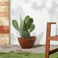 Flash Sale π Arcadia Garden Novelty Arcadia PSW Swoop Pot β€οΈ 10 Flash Sale π Arcadia Garden Novelty Arcadia PSW Swoop Pot β€οΈ -Garden Planters & Plant Pots Sales Shop detailARGP099