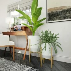 Promo ๐ Planter Sets Aspire Home Accents Nori Mid-Century Modern Planter - Set Of 2 โ๏ธ 8 Promo ๐ Planter Sets Aspire Home Accents Nori Mid-Century Modern Planter - Set Of 2 โ๏ธ -Garden Planters & Plant Pots Sales Shop detailASP1153