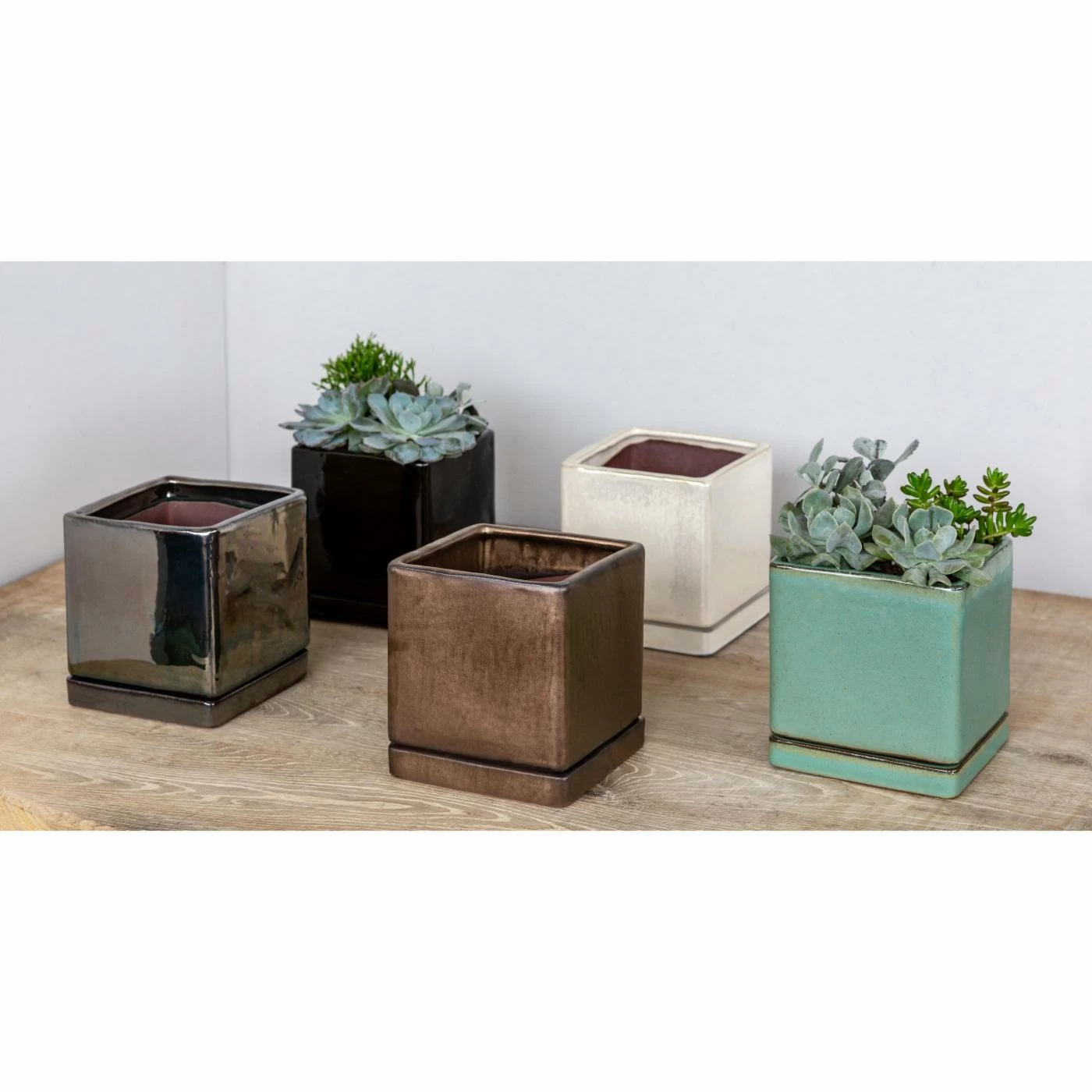 Deals โ๏ธ Planter Pots Campania International I/O Series Cube - Set Of 6 ๐ 3 Deals โ๏ธ Planter Pots Campania International I/O Series Cube - Set Of 6 ๐ - Image 3