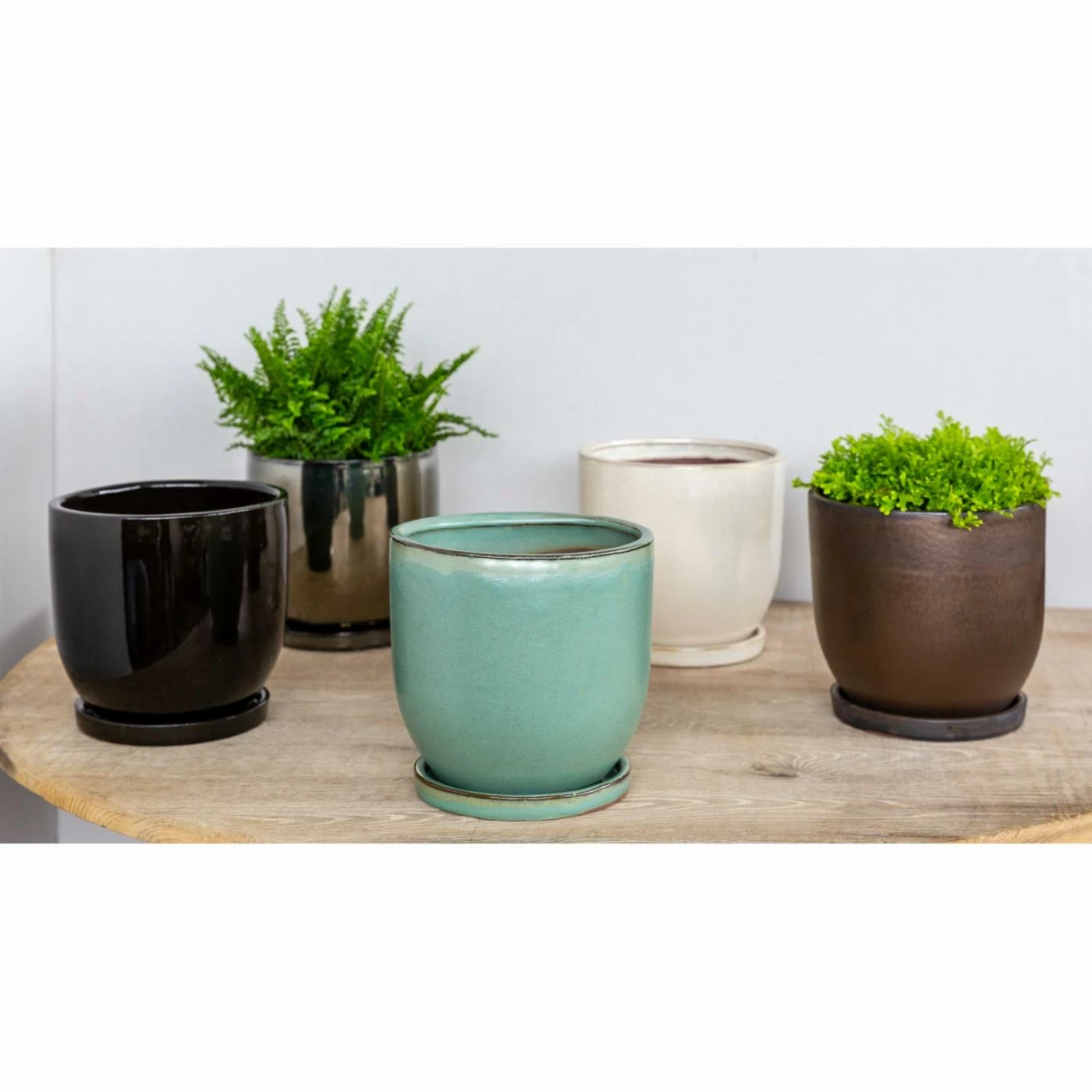 Deals โ Planter Pots Campania International I/O Series Cup Planter - Set Of 6 ๐ฏ 3 Deals โ Planter Pots Campania International I/O Series Cup Planter - Set Of 6 ๐ฏ - Image 3