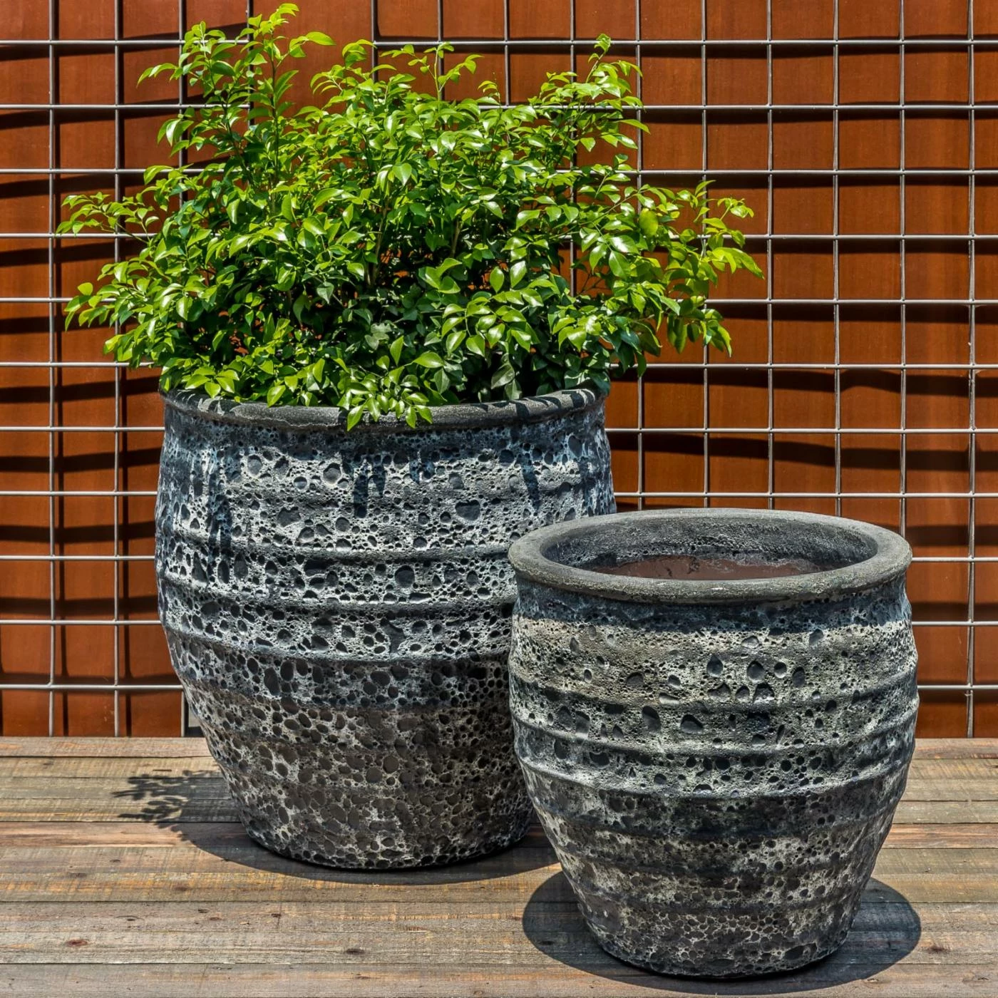 Outlet ๐ฏ Planter Sets Campania International Knossos Planter - Set Of 2 ๐ฏ 3 Outlet ๐ฏ Planter Sets Campania International Knossos Planter - Set Of 2 ๐ฏ - Image 3