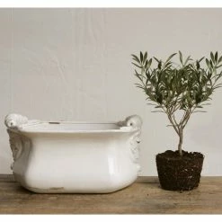 Promo π Novelty 3R Studios White Terracotta Cache Pot π 5 Promo π Novelty 3R Studios White Terracotta Cache Pot π -Garden Planters & Plant Pots Sales Shop detailCREC711