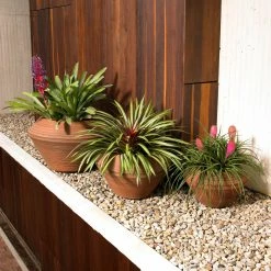 Best Sale 😀 Crescent Garden Novelty Round Resin Daniel Planter 🛒 -Garden Planters & Plant Pots Sales Shop detailCTG061