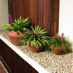 Buy 🛒 Crescent Garden Novelty 21 In. Outdoor Round Resin Tall Daniel Planter 🧨 -Garden Planters & Plant Pots Sales Shop detailCTG086