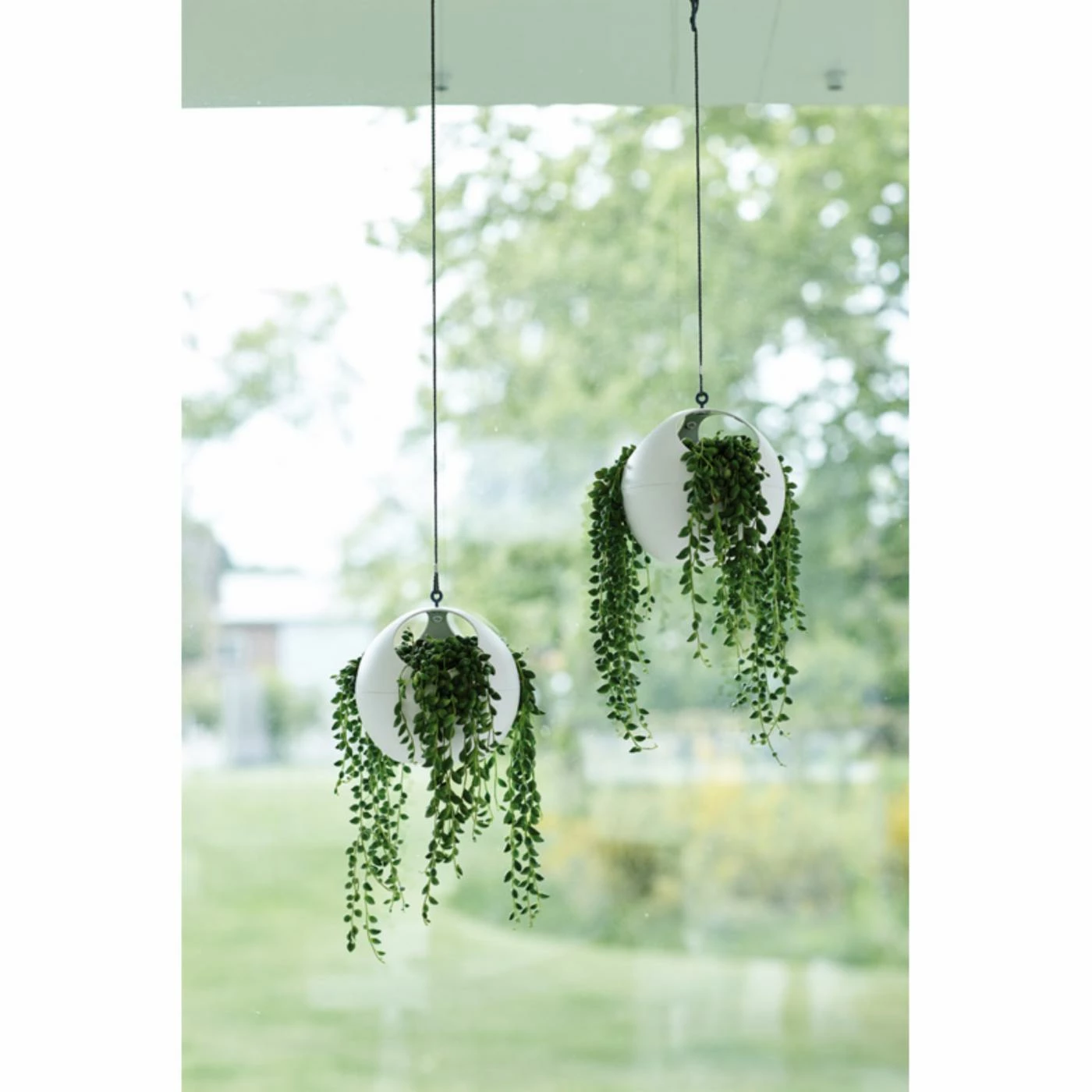 Deals โ๏ธ Exaco Euro Pot Hanging Planter - Set Of 2 ๐ 3 Deals โ๏ธ Exaco Euro Pot Hanging Planter - Set Of 2 ๐ - Image 3