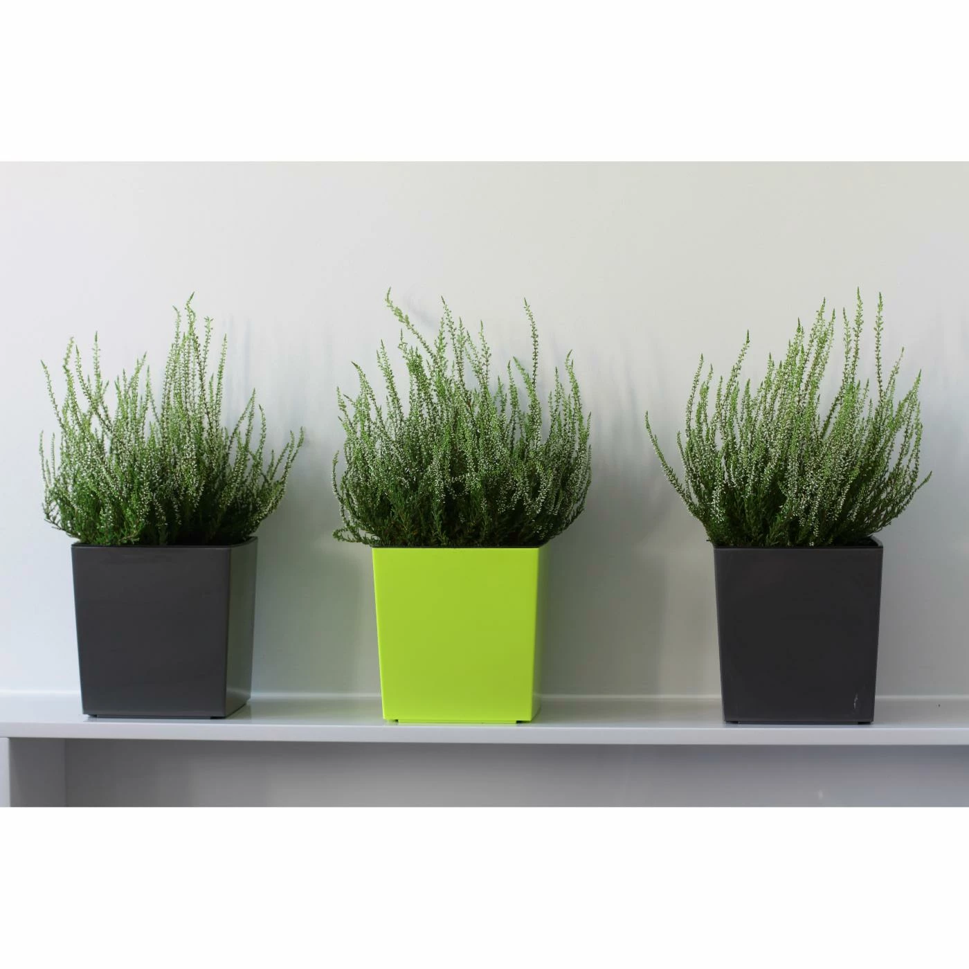 Deals π Planter Pots Kasamodern Urban Planter Cubic Glossy Modern Planter With Insert π 3 Deals π Planter Pots Kasamodern Urban Planter Cubic Glossy Modern Planter With Insert π - Image 3