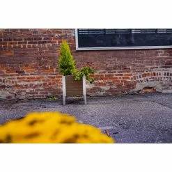 Hot Sale 𧨠Planter Boxes Vita Urbana Vinyl Raised Outdoor Planter π― 9 Hot Sale 𧨠Planter Boxes Vita Urbana Vinyl Raised Outdoor Planter π― -Garden Planters & Plant Pots Sales Shop detailNEA183