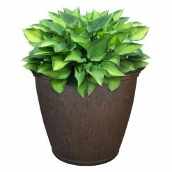 Cheap 🛒 Planter Pots Sunnydaze Decor Anjelica Unbreakable Double-Walled UV Resistant Flower Pot Planter 🧨 -Garden Planters & Plant Pots Sales Shop detailNETH1178