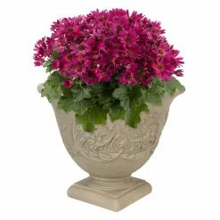 Flash Sale 🔔 Planter Pots Sunnydaze Decor Darcy Heavy Duty Double-Walled Fade Resistant Flower Pot Planter 🤩 -Garden Planters & Plant Pots Sales Shop detailNETH1182