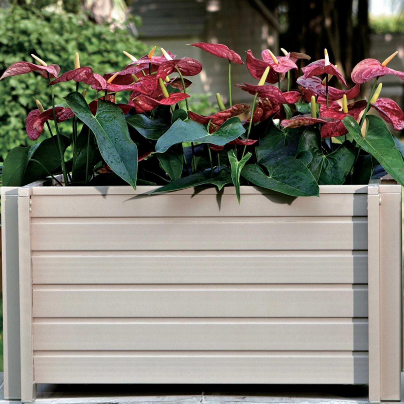 Hot Sale π New Age Garden Trough EcoChoice Rectangular Planter Box β€οΈ 3 Hot Sale π New Age Garden Trough EcoChoice Rectangular Planter Box β€οΈ - Image 3