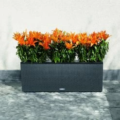 Wholesale π Trough Rectangle Lechuza Trio Cottage 30 Self-Watering Resin Planter β€οΈ 7 Wholesale π Trough Rectangle Lechuza Trio Cottage 30 Self-Watering Resin Planter β€οΈ -Garden Planters & Plant Pots Sales Shop detailPML009